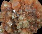 Aragonite Twinned Crystal Cluster - Morocco #59798-2